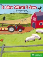 i like what i see social studies