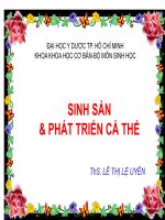 bài giảng sinh sản và phát triển cá thể