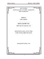 tiểu luận môn quản trị dự án bánh tráng long an tây ninh nước sâm hạ nhiệt nha đam