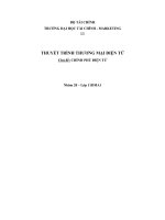 tiểu luận môn thương mại điện tử chính phủ điện tử