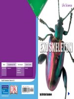 exoskeleton life science