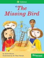 the missing bird social studies