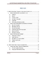 lập kế hoạch marketing cho công ty blue sky