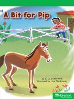 a bit for pip social studies