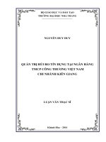 quản trị rủi ro tín dụng tại ngân hàng tmcp công thương việt nam chi nhánh kiên giang