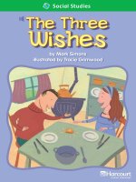 the three wishes social studies