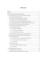 Luận văn thạc sỹ: Thực trạng xuất khẩu hàng nông sản tỉnh Chăm Pa Sắc năm 2004 đến 2008