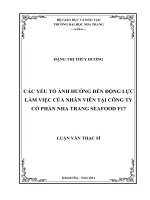 các yếu tố ảnh hưởng đến động lực làm việc của nhân viên tại công ty cổ phần nha trang seafood f17