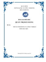 tiểu luận môn quản trị bán hàng tóm tắt tình huống của công ty briggs