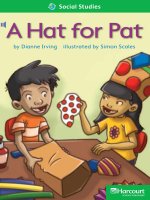 a hat for pat social studies