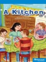 a kitchen social studies