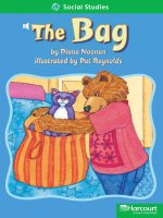 the bag social studies