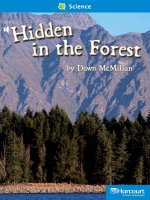 hidden in the forest social studies