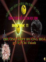 slide bài giảng hợp chất của các bon