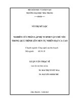nghiên cứu phân lập hệ vi sinh vật chủ yếu trong quá trình lên men tự nhiên hạt ca cao