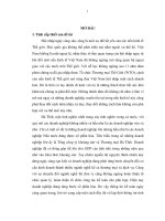 hoàn thiện tổ chức hạch toán kế toán trong các doanh nghiệp thuộc tổng công ty khoáng sản và thương mại hà tĩnh