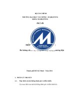 tiểu luận môn quản trị chiêu thị đo lường chiêu thị  bằng các hoạt động phương tiện