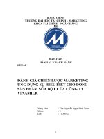 đánh giá chiến lược marketing ứng dụng sự hiểu biết cho dòng sản phẩm sữa bột của công ty vinamilk