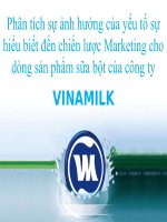 phân tích sự ảnh hưởng của yếu tố sự hiểu biết đến chiến lược marketing cho dòng sản phẩm sữa bột của công ty vinamilk