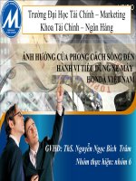 báo cáo ảnh hưởng của phong cách sống đến hành vi tiêu dùng xe máy honda việt nam