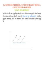 7 Công cụ quản lý chất lượng
