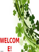 ảnh hưởng của yếu tố giai tầng xã hội đến hành vi người tiêu dùng