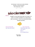 nghiệp vụ giao nhận hàng hóa xuất khẩu tại công ty cổ phần chế biến xuất nhập khẩu thủy sản bà rịa – vũng tàu chi nhánh tp hcm