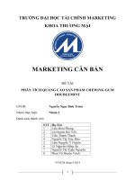 phân tích quảng cáo sản phẩm chewing gum
