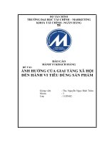 ảnh hưởng của giai tầng xã hội đến hành vi tiêu dùng sản phẩm