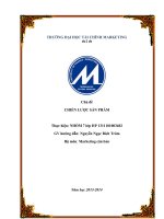 Tiểu luận môn marketing căn bản chủ đề CHIẾN LƯỢC SẢN PHẨM