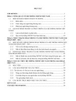 tái cấu trúc hệ thống ngân hàng thương mại việt nam