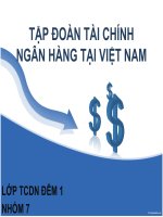 tập đoàn tài chính ngân hàng và giải pháp hình thành phát triển tập đoàn tài chính ở việt nam hiện nay