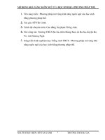 skkn phương pháp MỞ RỘNG KHẢ NĂNG NGÔN NGỮ CỦA HỌC SINH QUA PHƯƠNG PHÁP THẾ