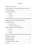 phân tích ảnh hưởng của yếu tố nhân khẩu học đến hành vi tiêu dùng sản phẩm thời trang