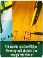 thực trạng và giải pháp phát triển thị trường liên ngân hàng tại việt nam trong giai đoạn hiện nay