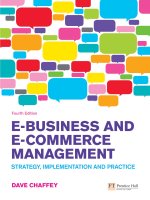 Ebusiness and ecommerce management (Dave Chaffey)