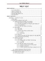 phân tích chiến dịch quảng cáo trực tuyến của công ty novanet