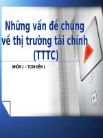 thị trường tài chính & giải pháp tái cấu trúc thị trường tài chính trong giai đoạn hiện nay.