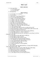 skkn tổ chức hoạt đông gdngll ở trường ptdt danh thi tươi năm học 2009 – 2010