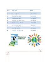 tiểu luận môn hành vi tiêu dùng đề xuất cho hoạt động marketing của kotex