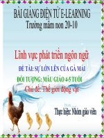 slide bài giảng sự lớn lên của gà mái