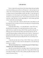 Tình hình thực tế về công tác tiêu thụ hàng hoá và xác định kết quả ở chi nhánh công ty bút bi thiên long  hà nội