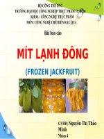 báo cáo tiểu luận môn công nghệ chế biến rau quả tìm hiểu các sản phẩm thực phẩm chế biến từ quả mít