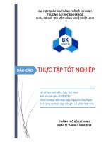 báo cáo thực tập tốt nghiệp tại công ty cổ phần việt kim