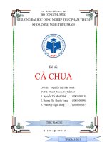 tiểu luận công nghệ chế biến rau quả chủ đề cà chua