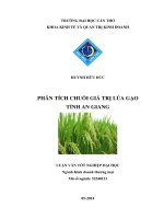 PHÂN TÍCH CHUỖI GIÁ TRỊ LÚA GẠO TỈNH AN GIANG