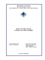 BÁO CÁO THỰC HÀNH VI SINH VẬT CÔNG NGHIỆP