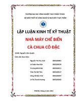 thiết kế công nghệ và nhà máy thực phẩm nhà máy chế biến cà chua cô đặc