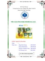 tiểu luận công nghệ chế biến rau quả chủ đề dứa