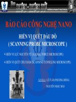 BÁO CÁO HIỂN VI QUÉT ĐẦU DÒ